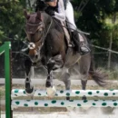 photo-pro-equitation-1