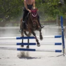 photo-pro-equitation-3