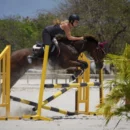 photo-pro-equitation-5